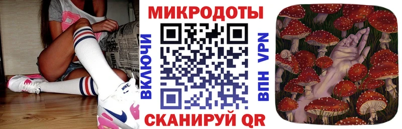ссылка на мегу как войти  Калач  shop наркотические препараты  Псилоцибиновые грибы Psilocybine cubensis 